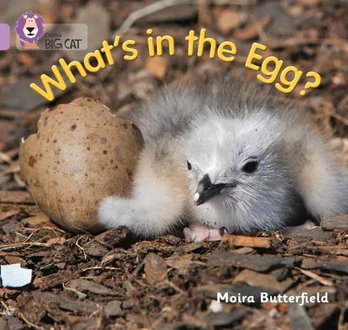 WHAT'S IN THE EGG? -NON-FICTION-LILAC - BAND 0