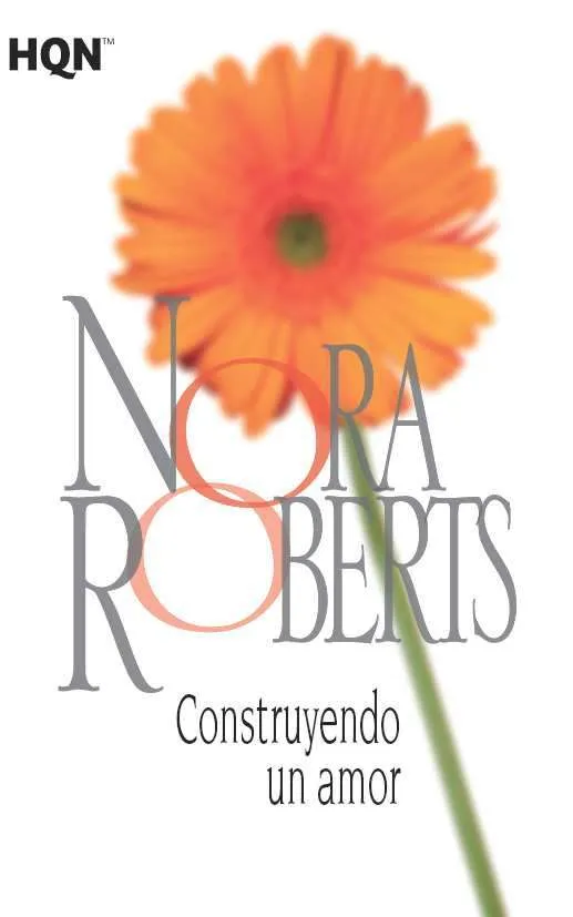 Construyendo un amor