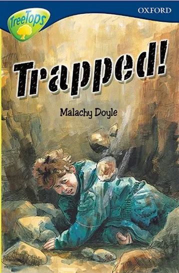 OXFORD READING TREE 14A TREETOPS FICTION STORIES