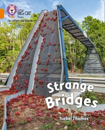 STRANGE BRIDGES (SET 3) -NON-FICTION-ORANGE - BAND 6