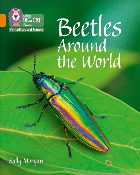 BEETLES AROUND THE WORLD (SET 1)-NON-FICTION-ORANGE - BAND 6