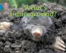 WHAT'S UNDERGROUND?-NON-FICTION-BLUE - BAND 4