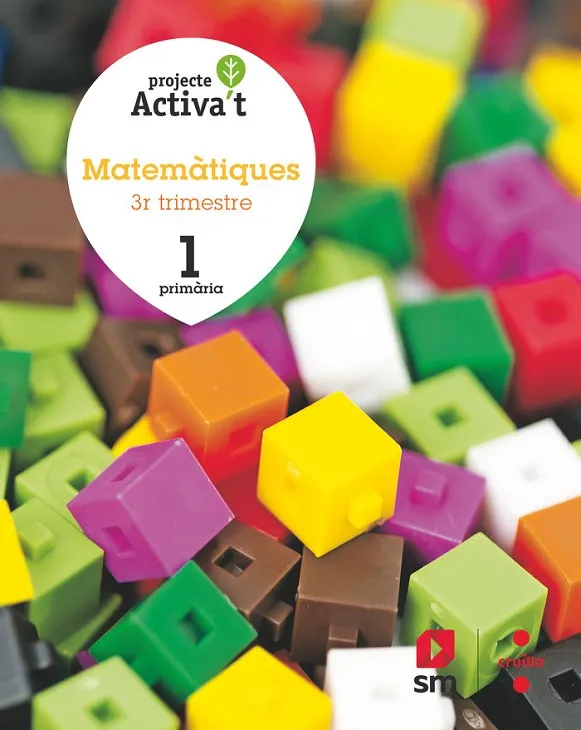 1r EP MATEMÀTIQUES ACTIVA'T 19