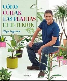 Cómo cuidar las plantas de interior
