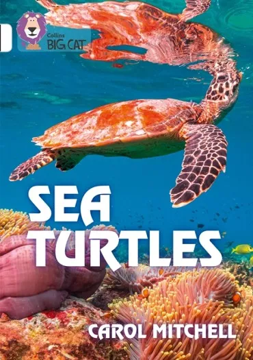 SEA TURTLES-NON-FICTION-WHITE - BAND 10