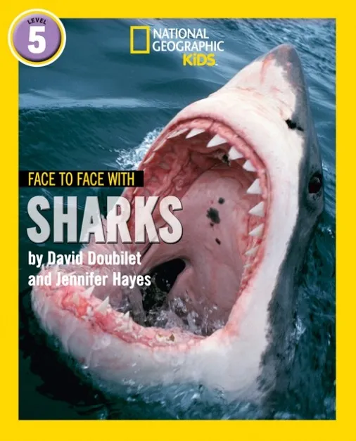 FACE TO FACE WITH SHARKS: LEVEL 5