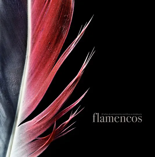 Flamencos