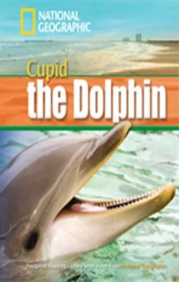 CUPID THE DOLPHIN+MROM