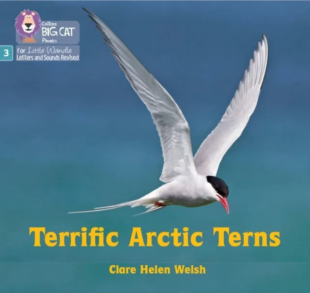 TERRIFIC ARCTIC TERNS (SET 2)-NON-FICTION-PHASE 3