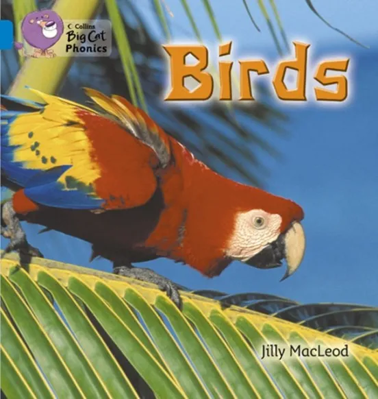 BIRDS-NON-FICTION-BLUE - BAND 4