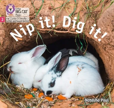 NIP IT! DIG IT! (SET 3)-FICTION PHASE 2