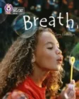 BREATH -NON-FICTION-TOPAZ - BAND 13