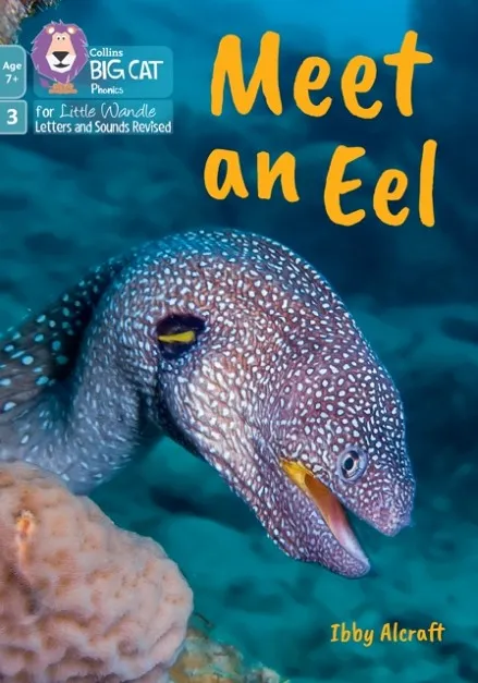 MEET AN EEL (PHASE 3 SET 1 - BLENDING PRACTICE)-NON-FICTION-7+ READERS