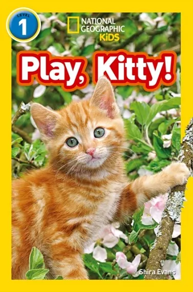 PLAY, KITTY! -NGKR LEVEL 1