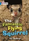 THE FANTASTIC FLYING SQUIRREL -NON-FICTION-BLUE - BAND 4