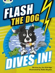 FLASH THE DOG DIVES IN!