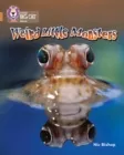WEIRD LITTLE MONSTERS-NON-FICTION-COPPER - BAND 12