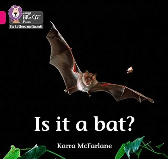 IS IT A BAT? (SET 2)-NON-FICTION-PINK - BAND 1B