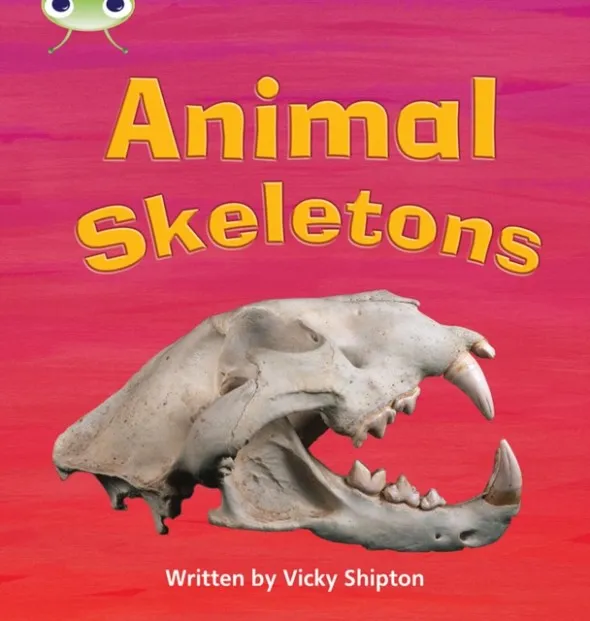 ANIMAL SKELETONS