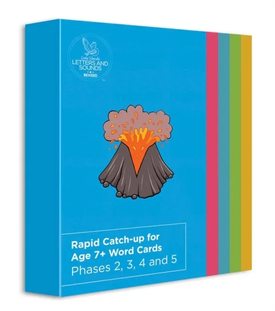 RAPID CATCH-UP WORD CARDS (READY-TO-USE CARDS) -CLASSROOM RESOURCES
