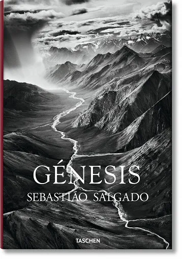 Salgado, Genesis