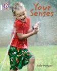 YOUR SENSES -NON-FICTION-WHITE - BAND 10