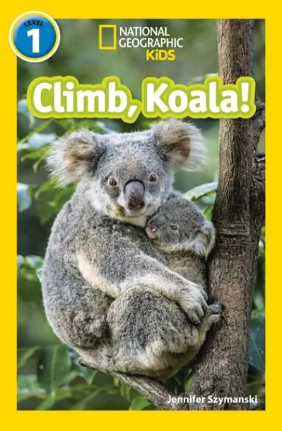 CLIMB, KOALA!-NGKR LEVEL 1