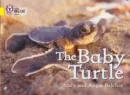 THE BABY TURTLE-NON-FICTION-YELLOW - BAND 3