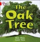 THE OAK TREE -NON-FICTION-RED - BAND 2B