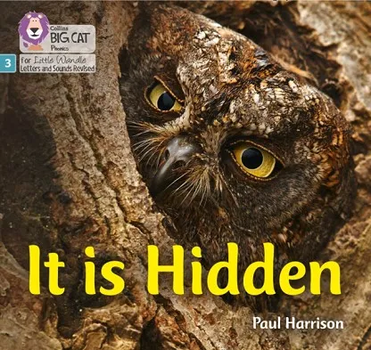 IT IS HIDDEN (SET 2)-NON-FICTION-PHASE 3