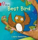 BEST BIRD -FICTION-RED - BAND 2B