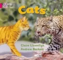 CATS-NON-FICTION-PINK - BAND 1B
