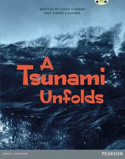 BUG CLUB COMPREHENSION Y6 TSUNAMI