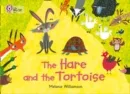 THE HARE AND THE TORTOISE -FICTION-YELLOW - BAND 3