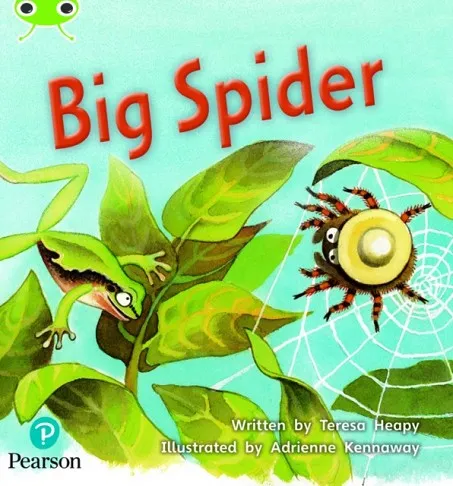 BIG SPIDER