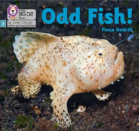 ODD FISH! (SET 1)NON-FICTION PHASE 3