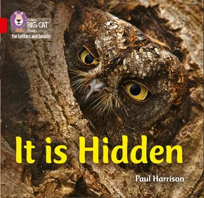 IT IS HIDDEN (SET 1)-NON-FICTION-RED - BAND 2B