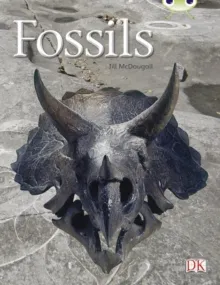 FOSSILS