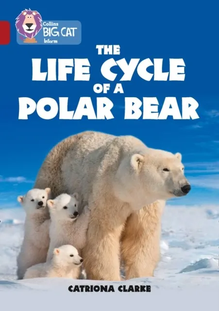 THE LIFE CYCLE OF A POLAR BEAR -NON-FICTION-RUBY - BAND 14