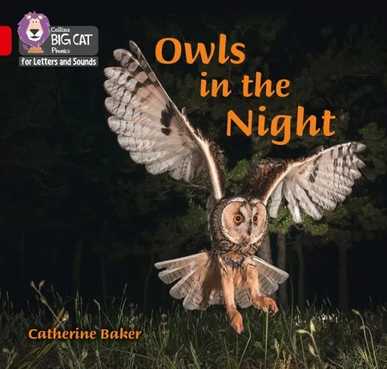 OWLS IN THE NIGHT (SET 4)-NON-FICTION-RED - BAND 2B