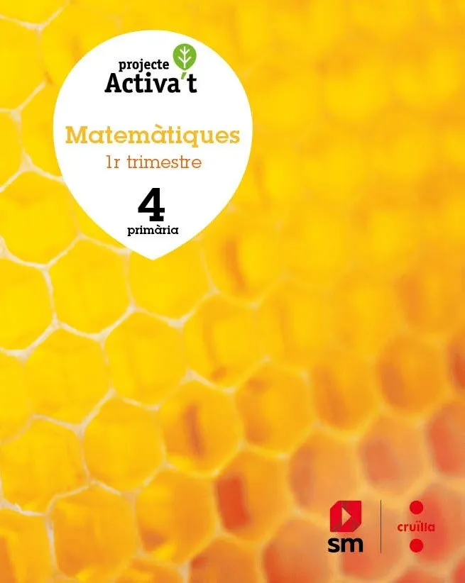 4t EP MATEMÀTIQUES ACTIVA'T 19