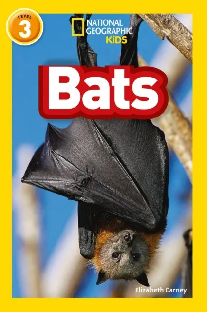 BATS -NGKR LEVEL 3