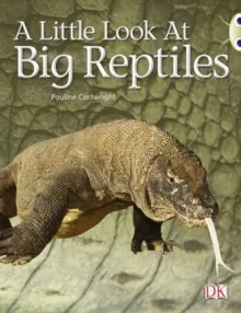 A LITTLE LOOK AT BIG REPTILES