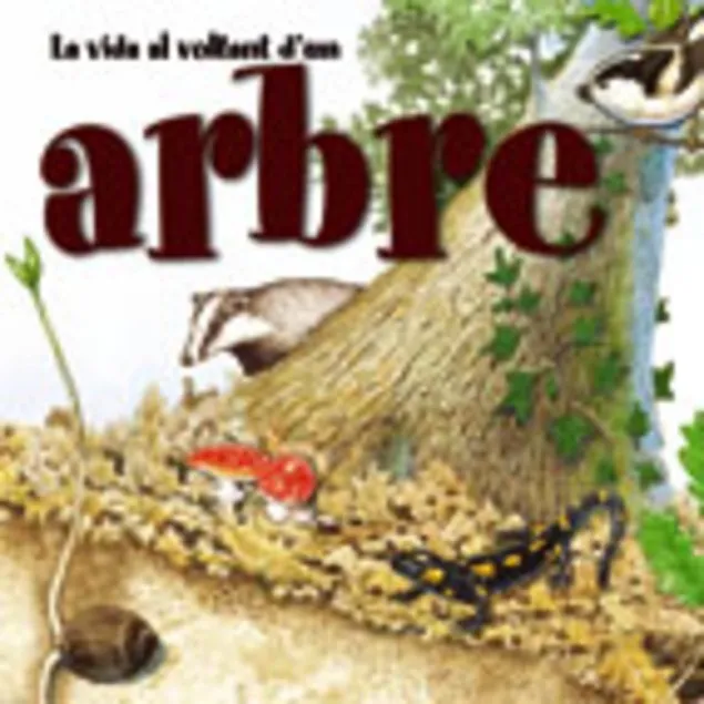 La vida al voltant d'un arbre