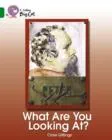 WHAT ARE YOU LOOKING AT?-NON-FICTION-EMERALD - BAND 15