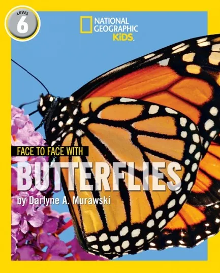 FACE TO FACE WITH BUTTERFLIES: LEVEL 6