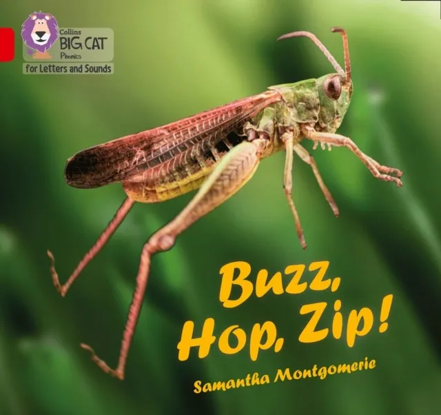 BUZZ, HOP, ZIP (SET 3) -NON-FICTION-RED - BAND 2A