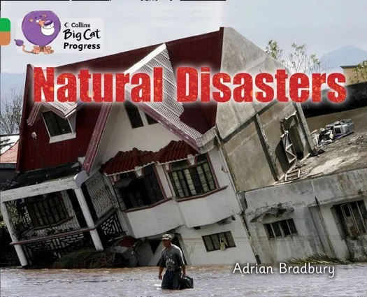 NATURAL DISASTERS-FICTION-GREEN / COPPER