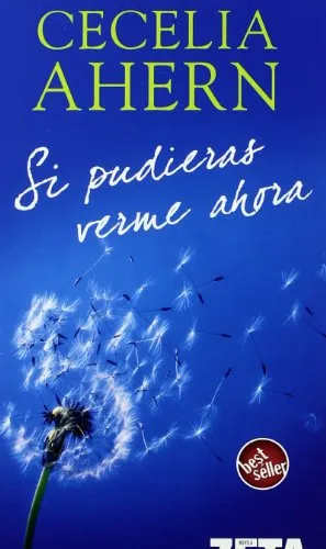 Si pudieras verme ahora