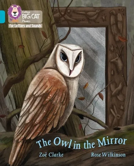 THE OWL IN THE MIRROR (SET 5) -FICTION-TURQUOISE - BAND 7